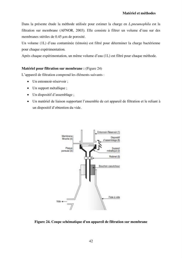 Valorisation Biotechnologique des Coproduits de Crustacés : étude du pouvoir antimicrobien du chitosane et traitement d\'une eau contamineé par Legionella Penumophila