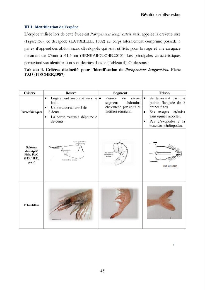 Valorisation Biotechnologique des Coproduits de Crustacés : étude du pouvoir antimicrobien du chitosane et traitement d\'une eau contamineé par Legionella Penumophila