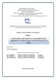 Calcul d'indice multi-échelle de la vulnérabilité côtière: application sur le littoral centre (du mont Chenoua au Cap Djinet)