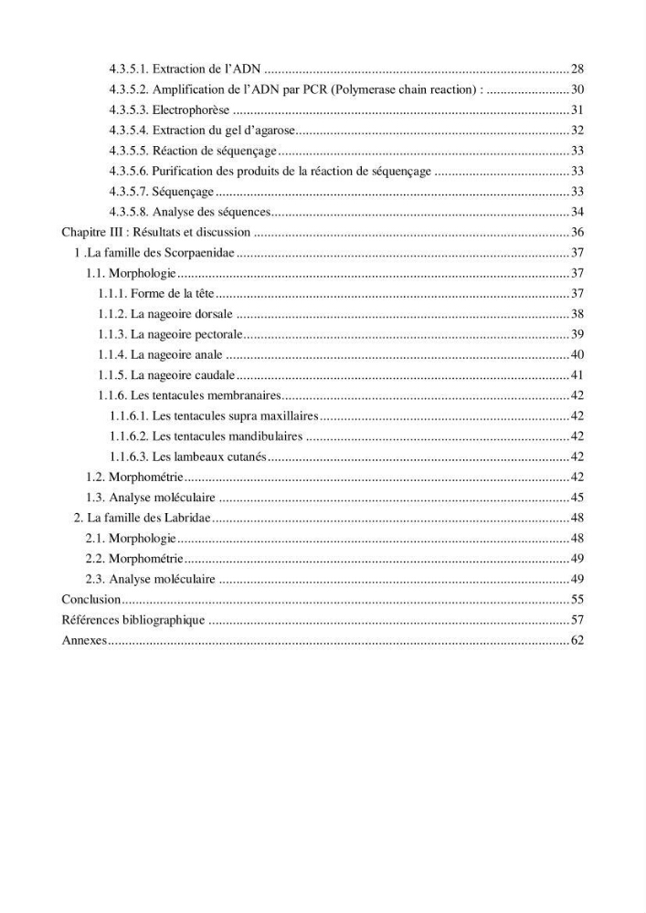 Contribution à la systématique de deux familles d\'Osteichthyens ( Scorpaenidae et Labridae) :: morphologie, morphométrie et génétique moléculaire