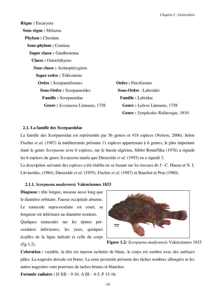 Contribution à la systématique de deux familles d\'Osteichthyens ( Scorpaenidae et Labridae) :: morphologie, morphométrie et génétique moléculaire