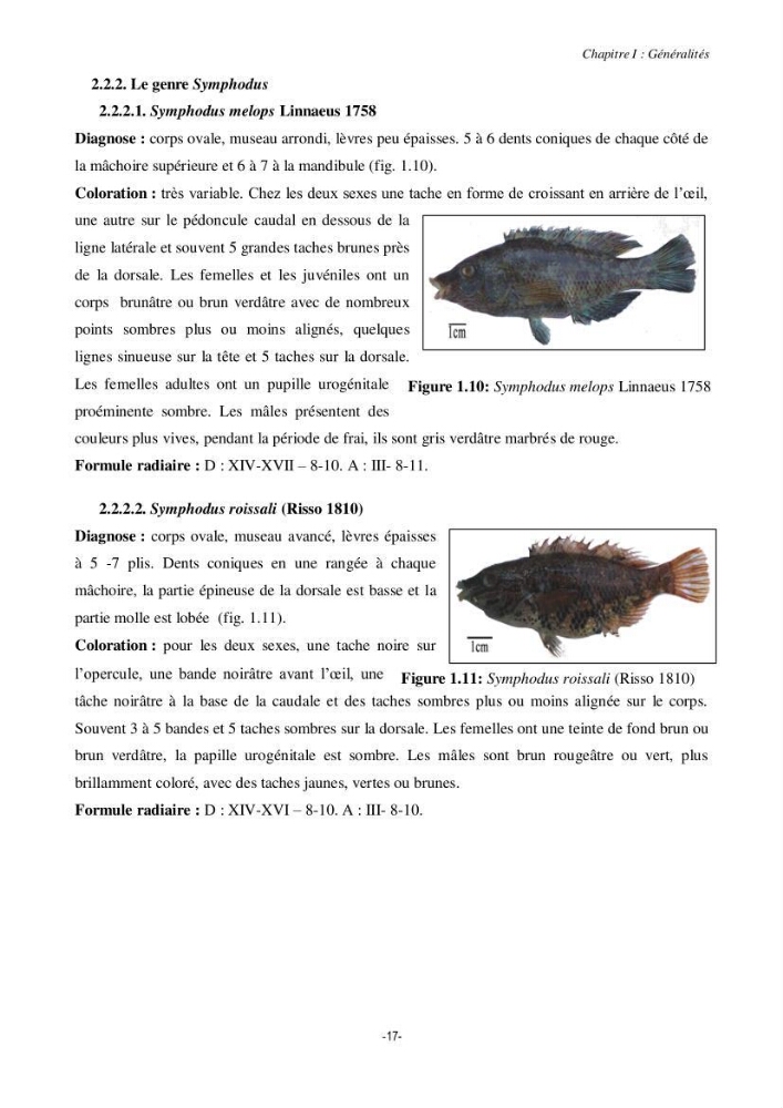 Contribution à la systématique de deux familles d\'Osteichthyens ( Scorpaenidae et Labridae) :: morphologie, morphométrie et génétique moléculaire