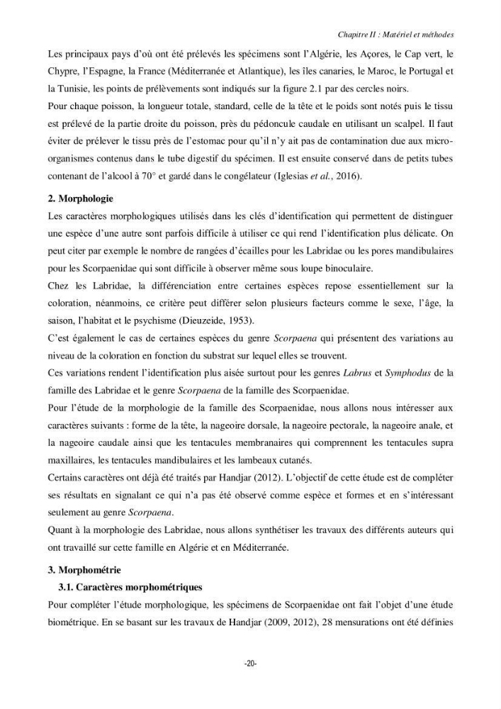 Contribution à la systématique de deux familles d\'Osteichthyens ( Scorpaenidae et Labridae) :: morphologie, morphométrie et génétique moléculaire