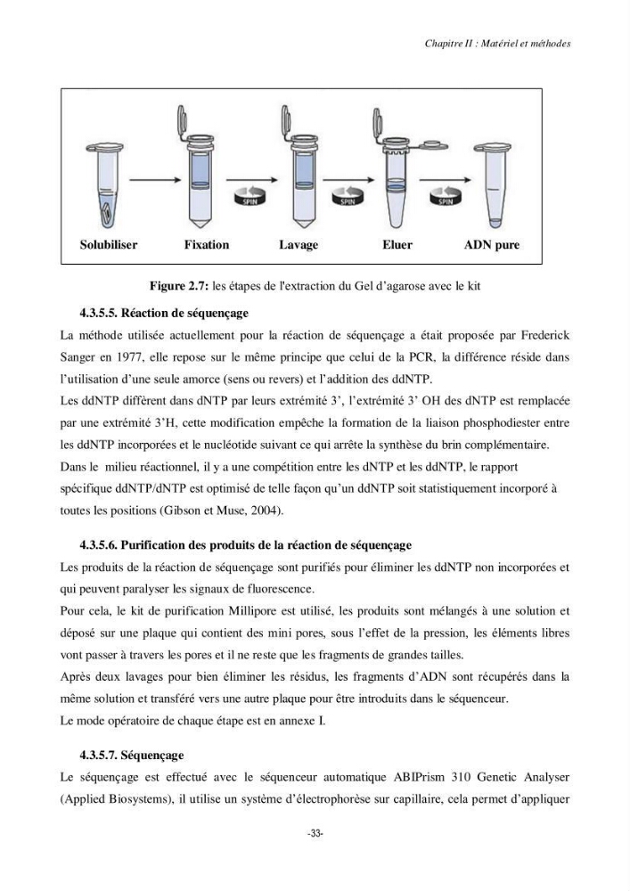Contribution à la systématique de deux familles d\'Osteichthyens ( Scorpaenidae et Labridae) :: morphologie, morphométrie et génétique moléculaire