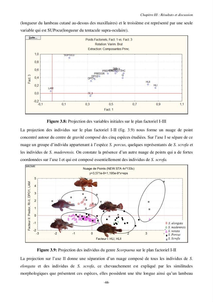 Contribution à la systématique de deux familles d\'Osteichthyens ( Scorpaenidae et Labridae) :: morphologie, morphométrie et génétique moléculaire