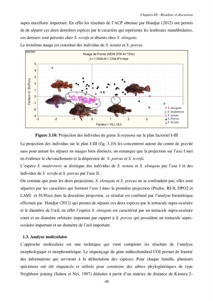 Contribution à la systématique de deux familles d\'Osteichthyens ( Scorpaenidae et Labridae) :: morphologie, morphométrie et génétique moléculaire