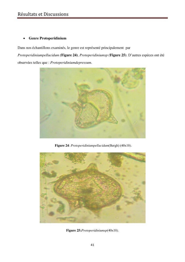Suivi des populations phytoplanctoniquedans la baie de Bou-Ismail (Avril-Mai 2015).: