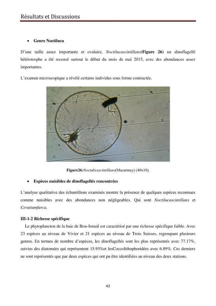 Suivi des populations phytoplanctoniquedans la baie de Bou-Ismail (Avril-Mai 2015).: