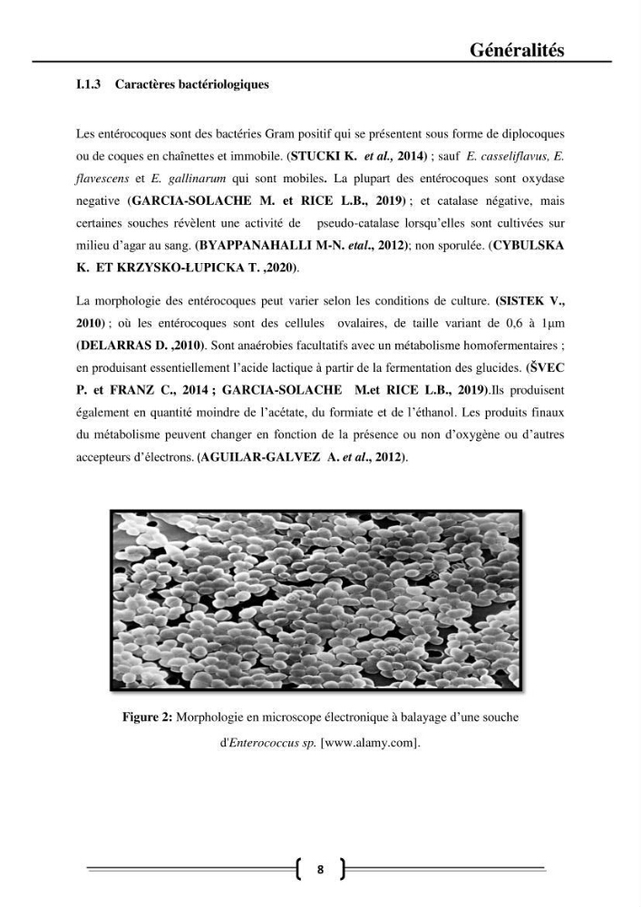 Caractérisation et évaluation de la résistance aux antibiotiques chez les entérocoques dans le milieu marin .