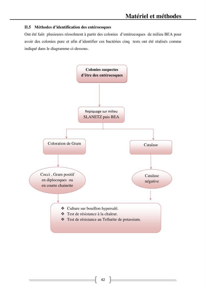 Caractérisation et évaluation de la résistance aux antibiotiques chez les entérocoques dans le milieu marin .