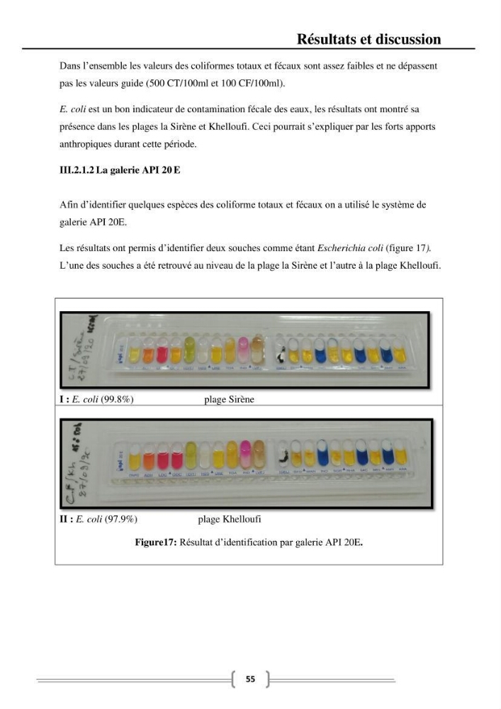 Caractérisation et évaluation de la résistance aux antibiotiques chez les entérocoques dans le milieu marin .