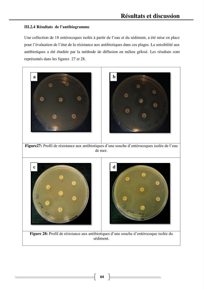 Caractérisation et évaluation de la résistance aux antibiotiques chez les entérocoques dans le milieu marin .