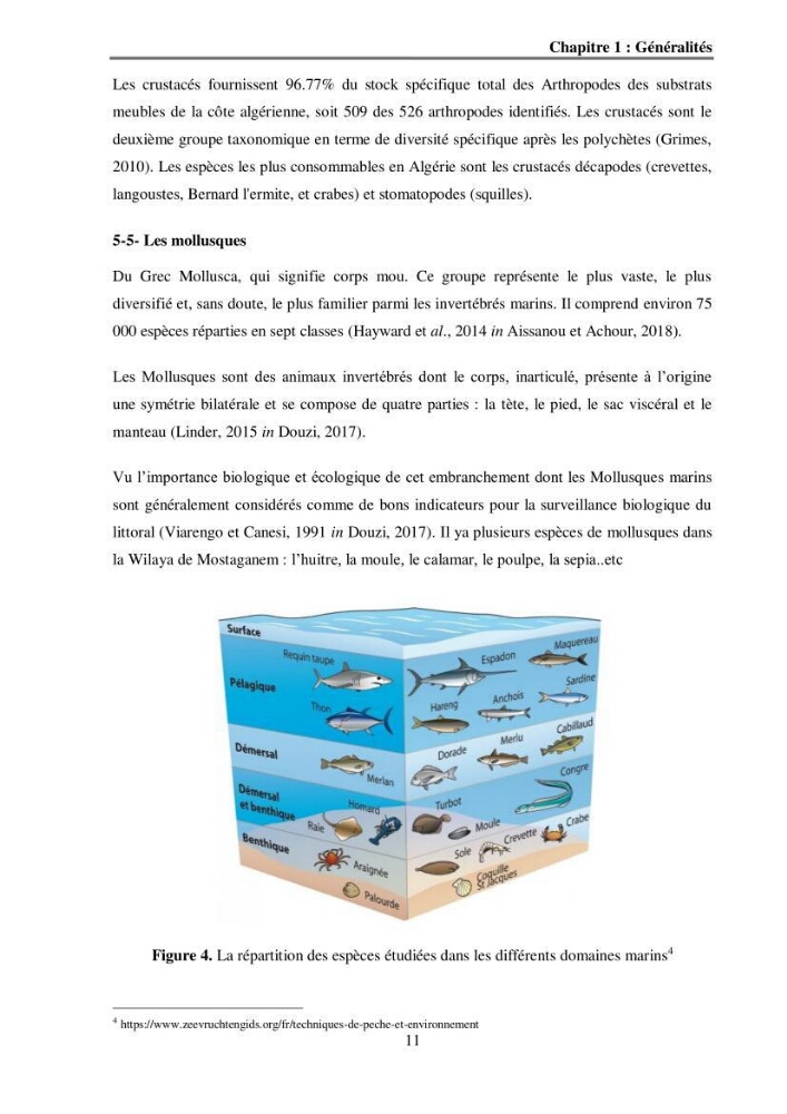 Analyse socio-environnementale de la pêcherie de Mostaganem: