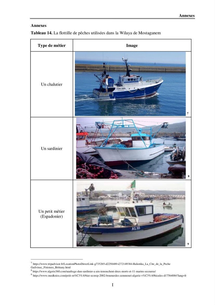 Analyse socio-environnementale de la pêcherie de Mostaganem: