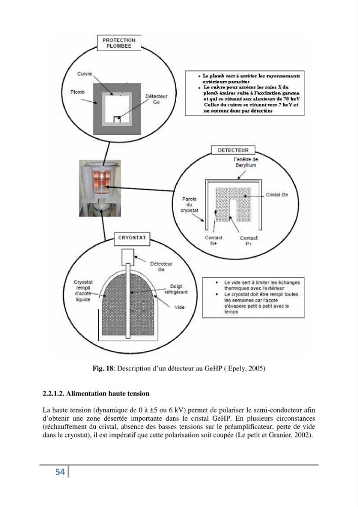 Fixation et dépôt de la radioactivité dans les compartiments de l\'environnement, air, sol et milieu marin au niveau de la région d\'Alger