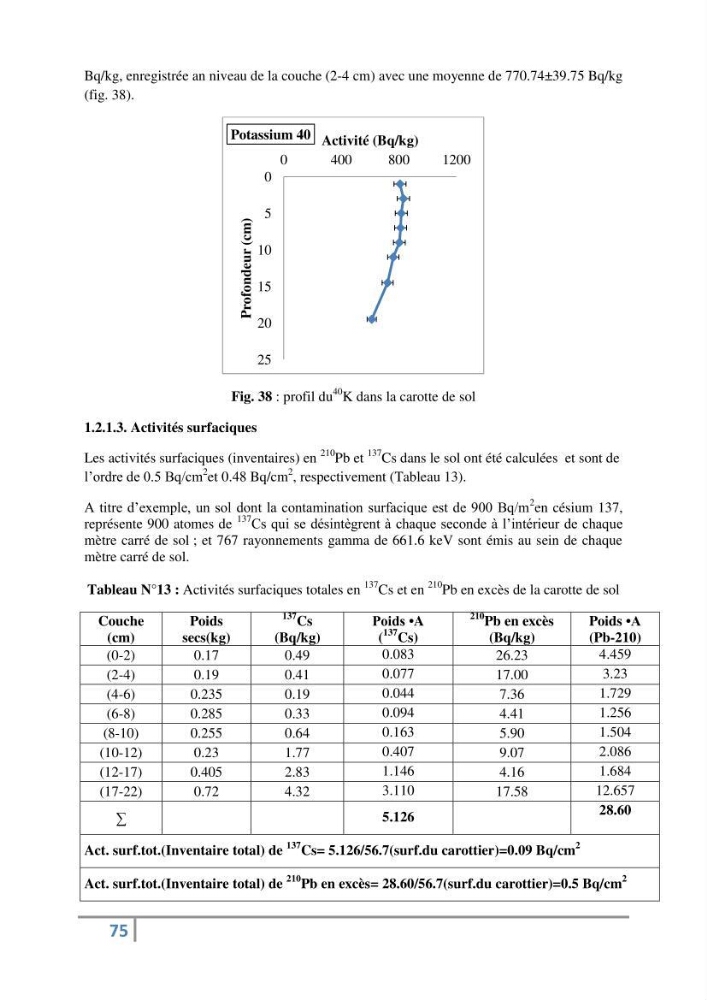 Fixation et dépôt de la radioactivité dans les compartiments de l\'environnement, air, sol et milieu marin au niveau de la région d\'Alger