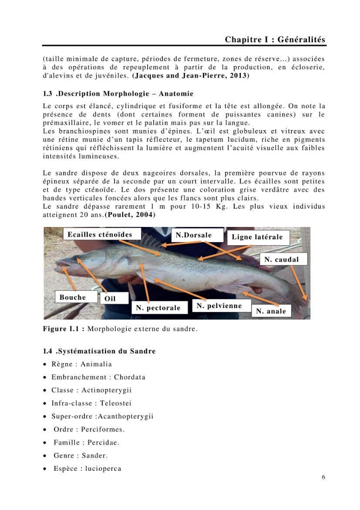 Maîtrise et suivi de la reproduction de quelques espèces de poissons d’eau douce: