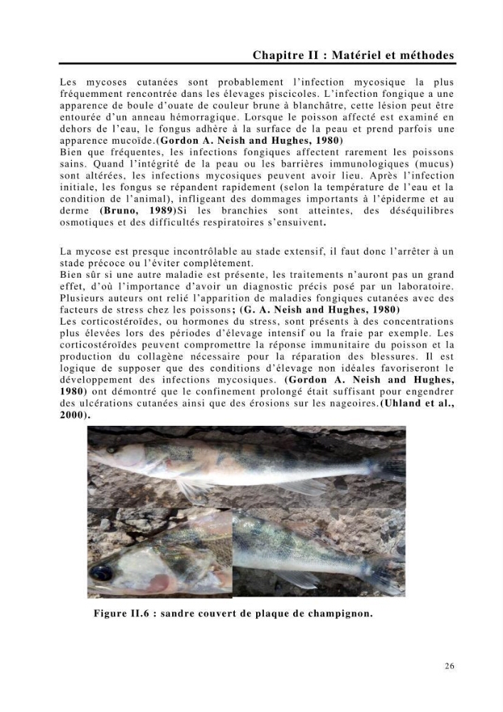 Maîtrise et suivi de la reproduction de quelques espèces de poissons d’eau douce: