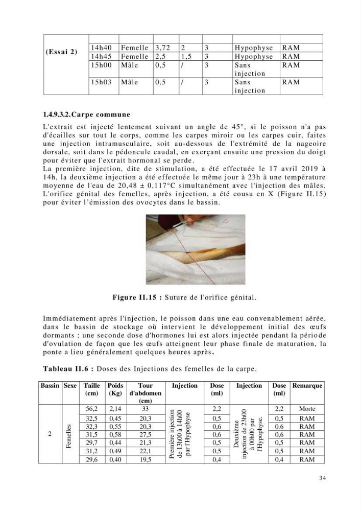 Maîtrise et suivi de la reproduction de quelques espèces de poissons d’eau douce: