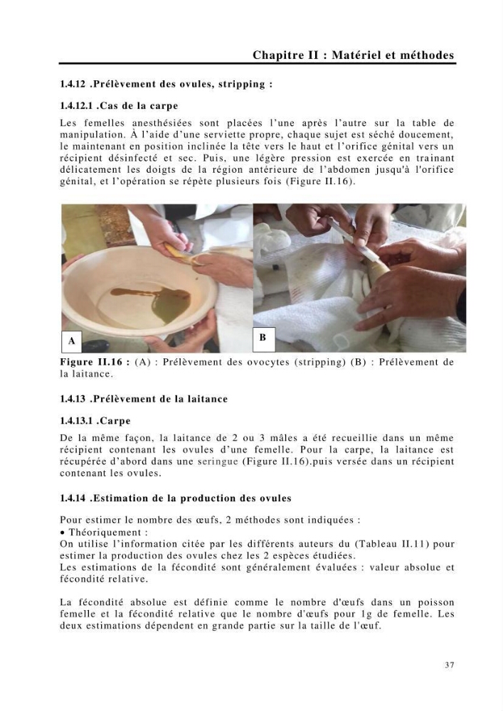 Maîtrise et suivi de la reproduction de quelques espèces de poissons d’eau douce: