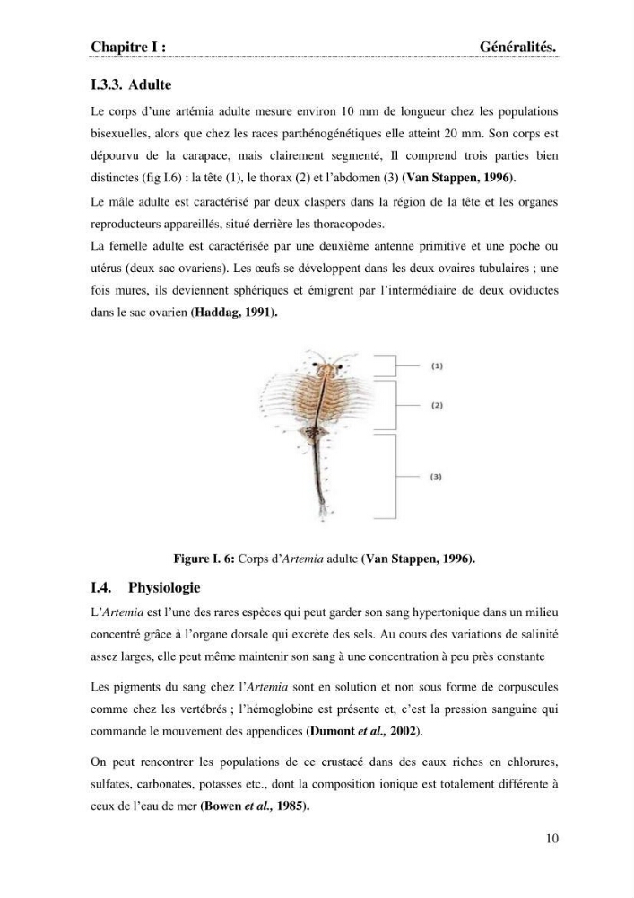 Determination d\'une partie de la flore bactérienne associee aux cystes d\'ARTEMIA (Leach 1819)