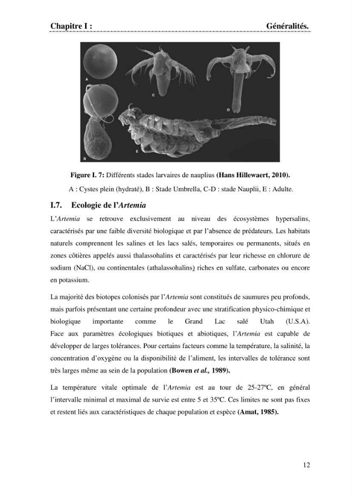Determination d\'une partie de la flore bactérienne associee aux cystes d\'ARTEMIA (Leach 1819)