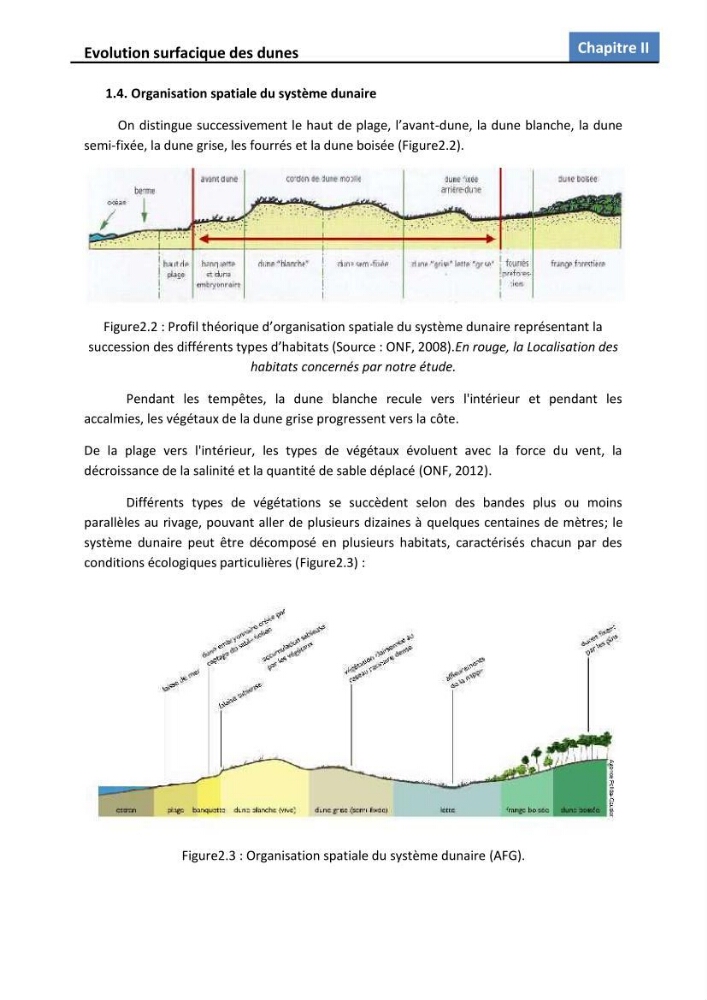 Etude des écosystèmes dunaires algérois