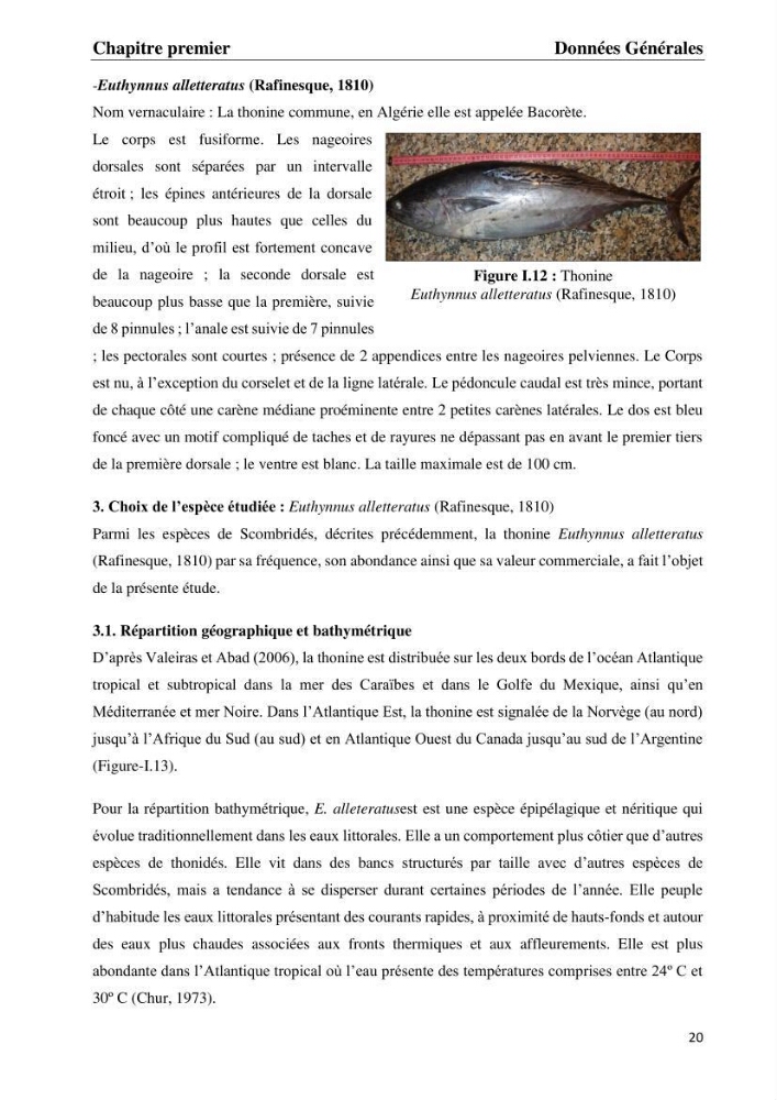 Contribution à l\'étude du régime alimentaire et la croissance de thonine Euthynnus alletteratus ( Rafinesque,1810) des côtes algériennes.: