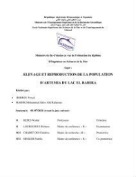 Elevage et reproduction de la population d'Artémia du Lac El Bahira