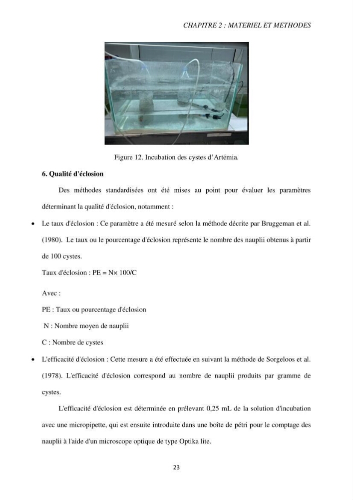 Elevage et reproduction de la population d\'Artémia du Lac El Bahira