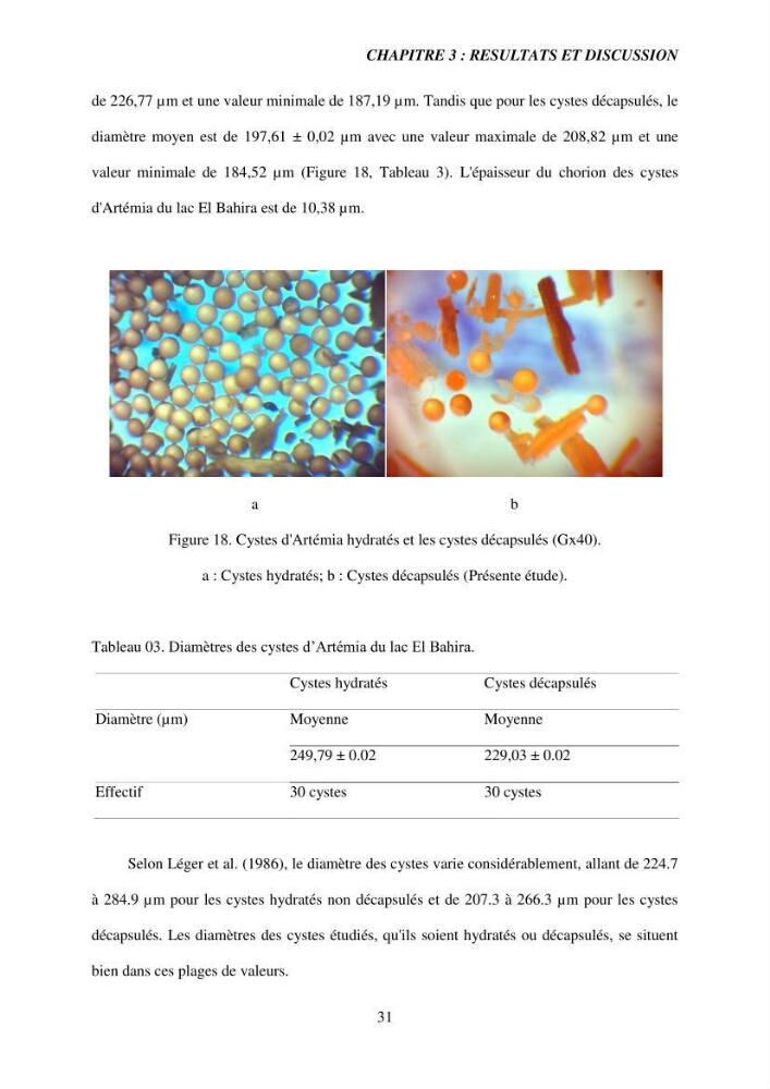 Elevage et reproduction de la population d\'Artémia du Lac El Bahira
