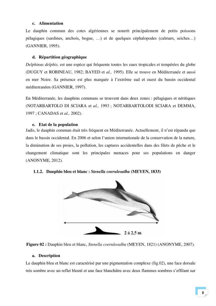 Bilan des échouages de cetacés dans le centre Algérien