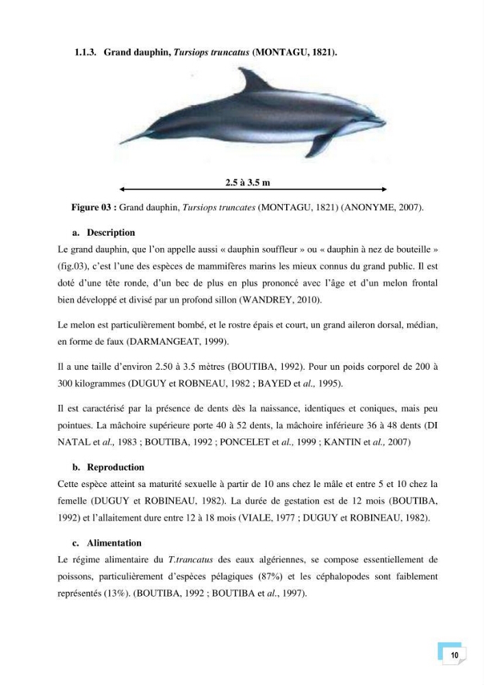 Bilan des échouages de cetacés dans le centre Algérien