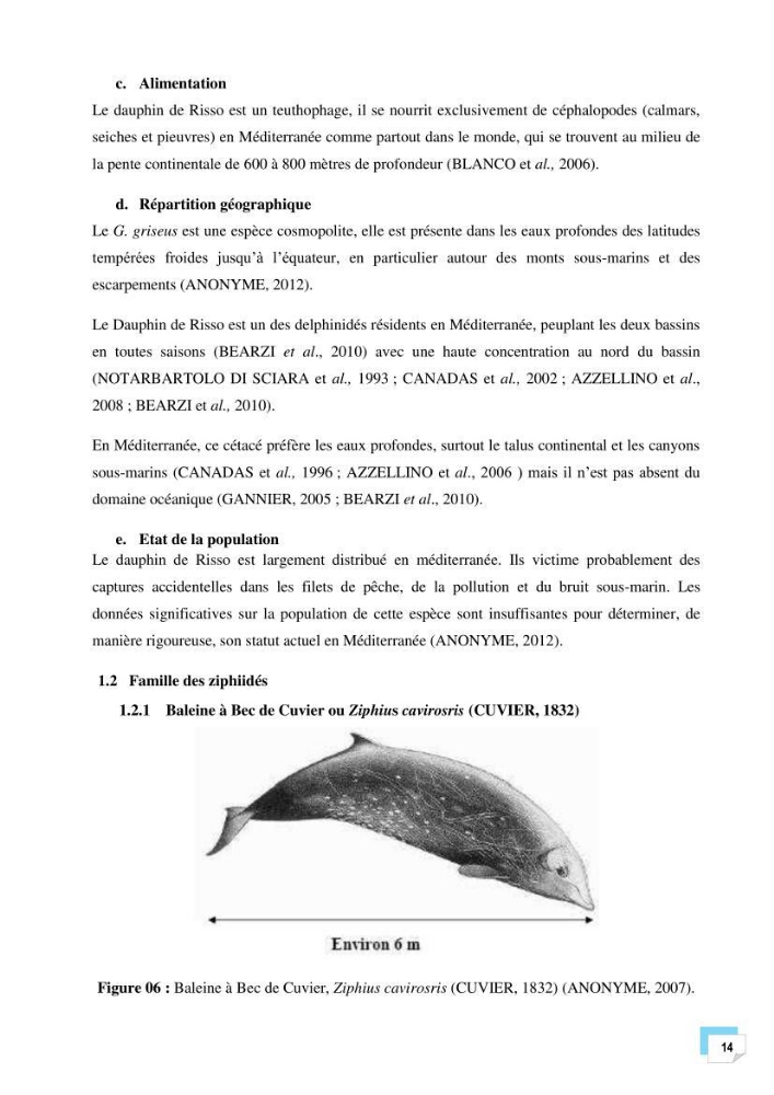 Bilan des échouages de cetacés dans le centre Algérien