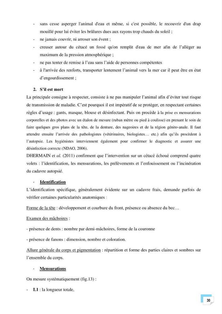 Bilan des échouages de cetacés dans le centre Algérien