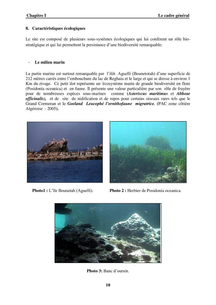 Approche intégrée d\'un littoral sableux spécifique dans le cadre du (Plan GIZC de Réghaia)
