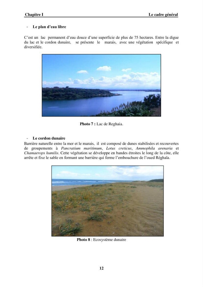 Approche intégrée d\'un littoral sableux spécifique dans le cadre du (Plan GIZC de Réghaia)