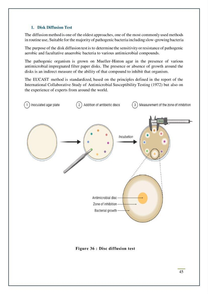 Chitin, Chitosan production using marine waste sources characteristics and applications
