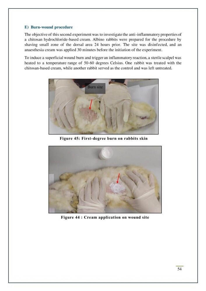 Chitin, Chitosan production using marine waste sources characteristics and applications