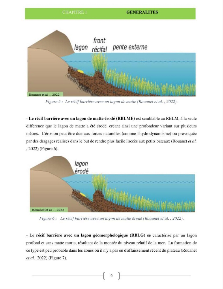 Le récif barrière de l’anse de kouali: cartographie, biométrie et essai de restauration
