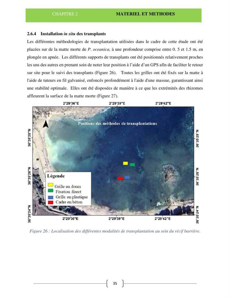 Le récif barrière de l’anse de kouali: cartographie, biométrie et essai de restauration