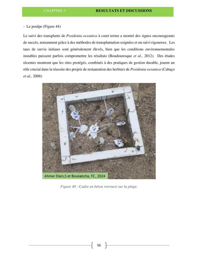Le récif barrière de l’anse de kouali: cartographie, biométrie et essai de restauration