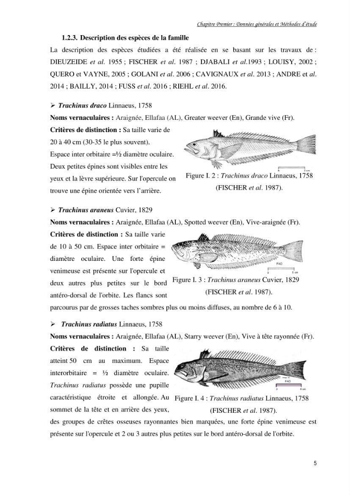 Contribution à la famille des Trachinidae (Osteichthyens, Perciformes)dans le bassin algérien: Populations et communautés caractéristiques
