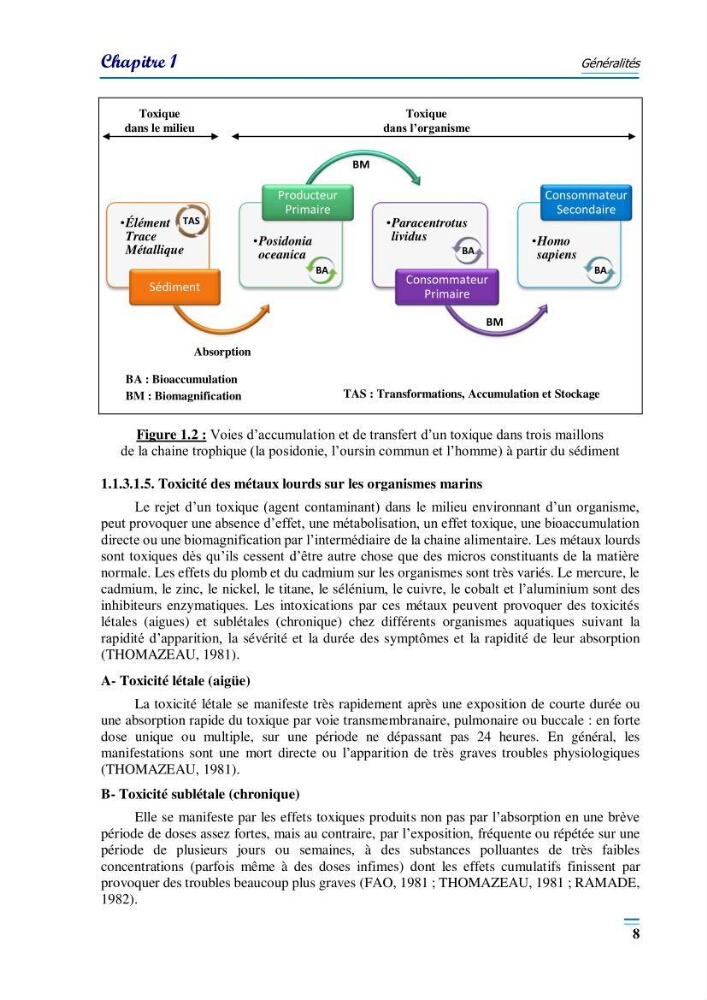 Evaluation de la qualité du mileu marin dans la baie d\'el djamila en vue de la mise en place d\'un réseau de surveillance