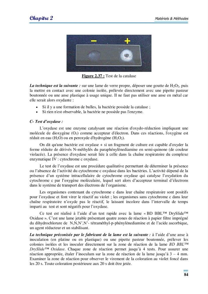 Evaluation de la qualité du mileu marin dans la baie d\'el djamila en vue de la mise en place d\'un réseau de surveillance