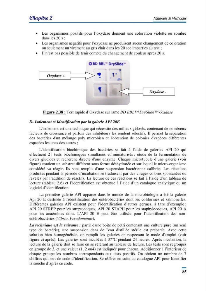 Evaluation de la qualité du mileu marin dans la baie d\'el djamila en vue de la mise en place d\'un réseau de surveillance
