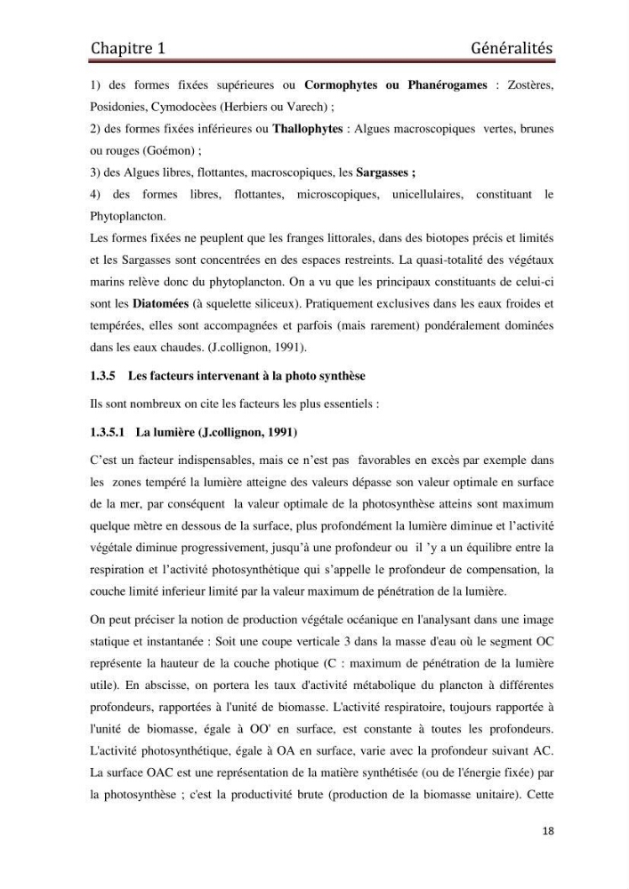 Mise en place d\'une base de données littoral intégrée dans un SIG, application à la wilaya de Boumerdès :