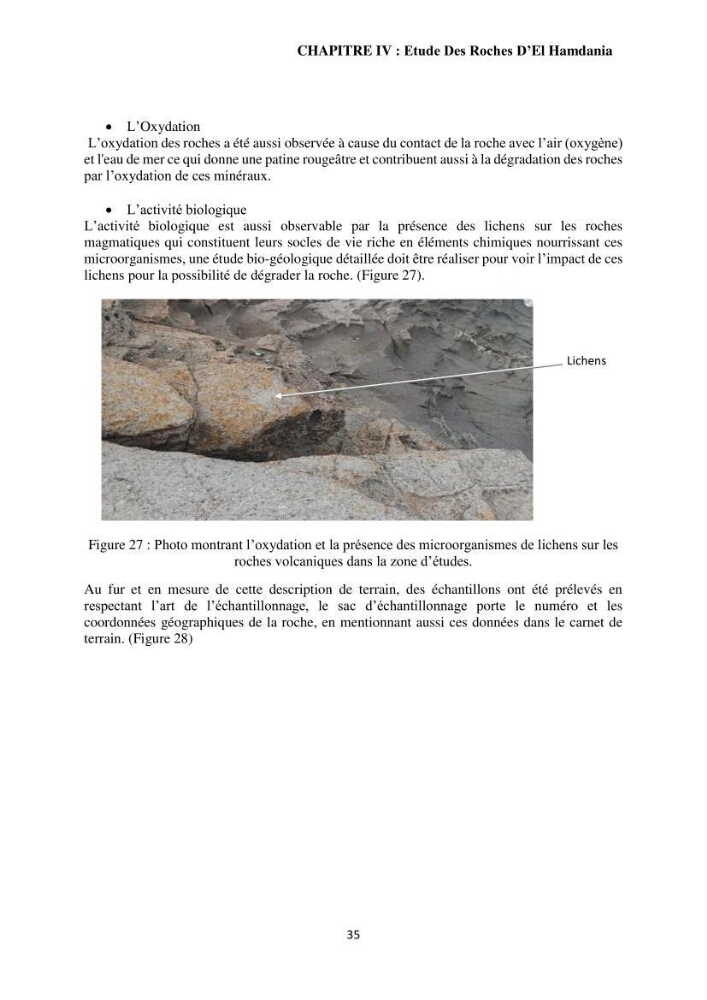 Étude géologique de l\'altération des roches magmatiques au milieu littoral de la plage d\'El Hamdania ( wilaya de Tipaza )