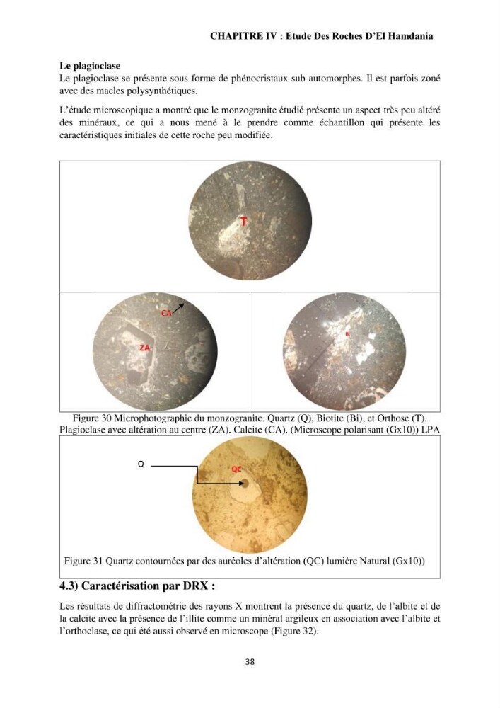 Étude géologique de l\'altération des roches magmatiques au milieu littoral de la plage d\'El Hamdania ( wilaya de Tipaza )