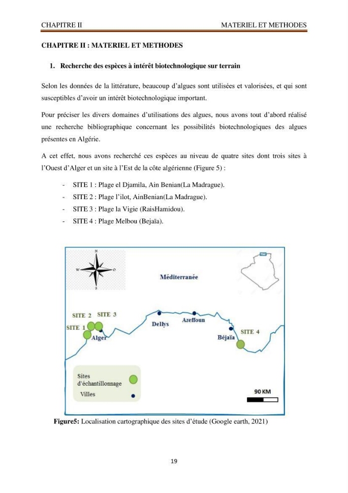 Recherche de quelques espèces algales de la co^te algérienne aux possibilités biotechnologiques